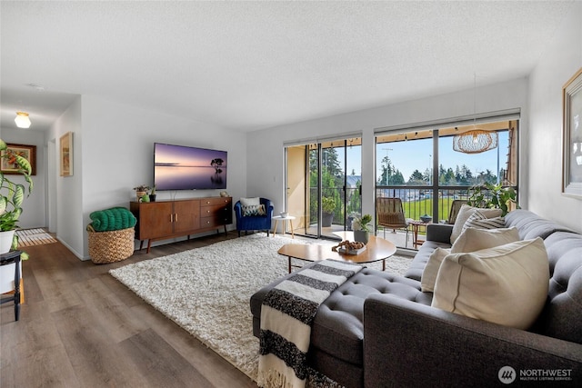 living room featuring wood finished floors and a textured ceiling