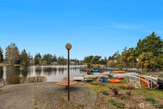 view of home's community with a water view