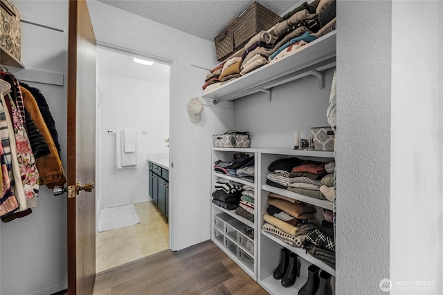 walk in closet featuring dark wood-style flooring