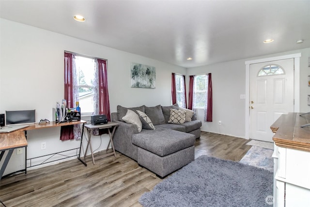 living room featuring wood finished floors and recessed lighting