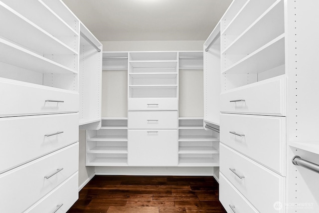 spacious closet featuring dark wood finished floors