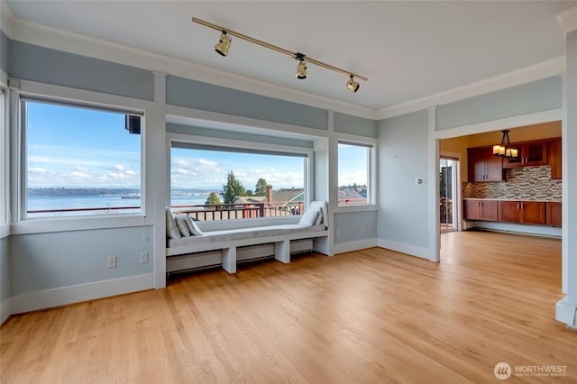 interior space with light wood-type flooring, a baseboard radiator, baseboards, and ornamental molding