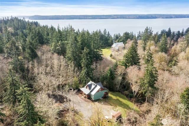 bird's eye view with a water view and a wooded view