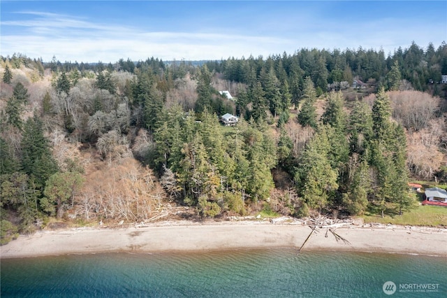 bird's eye view with a forest view and a water view