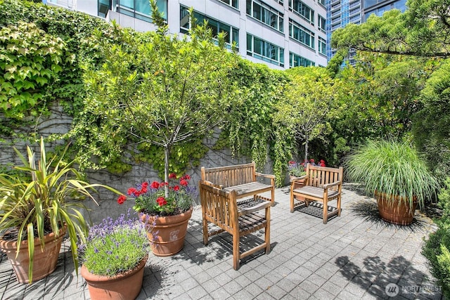 view of patio