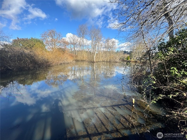 view of dock with a water view