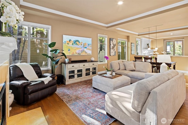 living area featuring a tray ceiling, wood finished floors, and ornamental molding