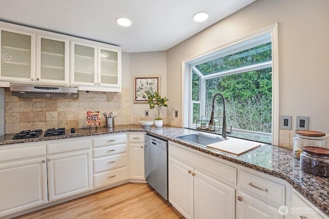 kitchen with a sink, decorative backsplash, stainless steel appliances, light wood-style floors, and under cabinet range hood