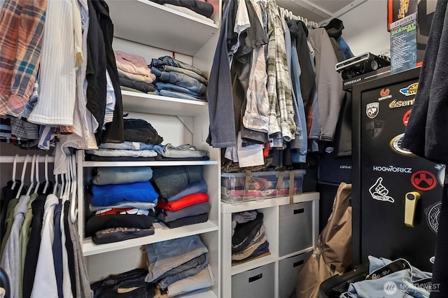 view of spacious closet