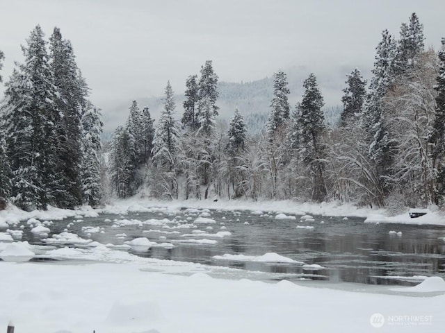 view of snow covered land with a forest view