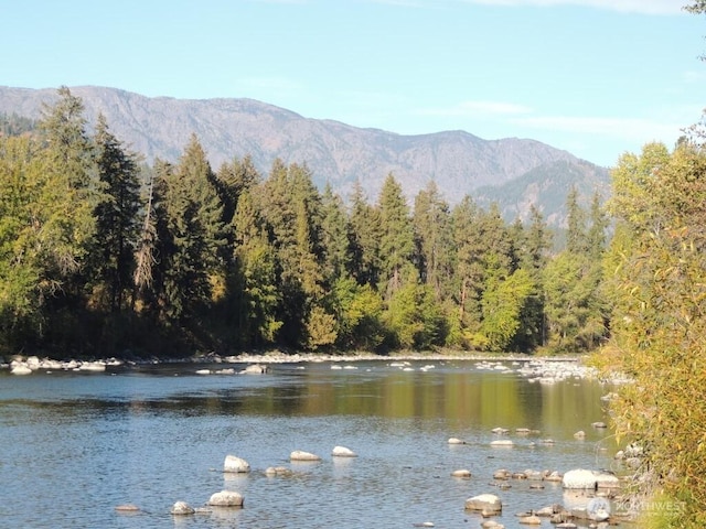 view of water feature with a mountain view and a forest view