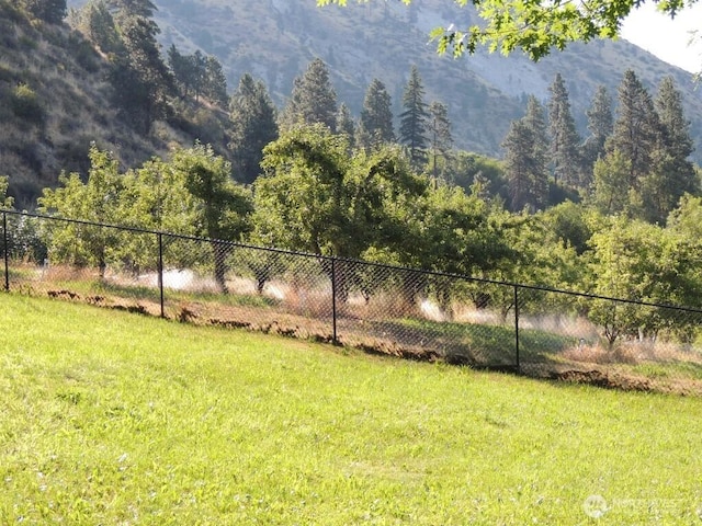 mountain view featuring a forest view