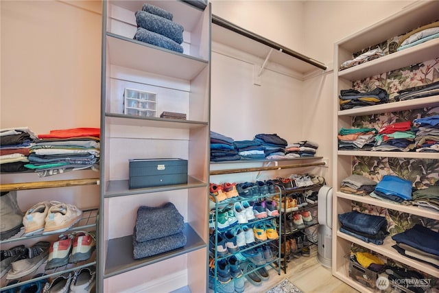 view of spacious closet