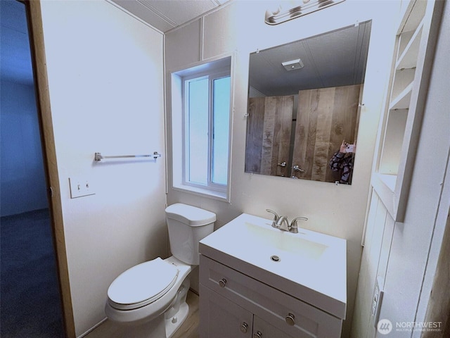 bathroom with toilet and vanity