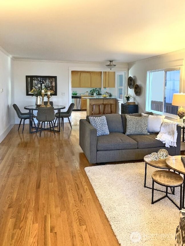 living room featuring crown molding and light wood finished floors