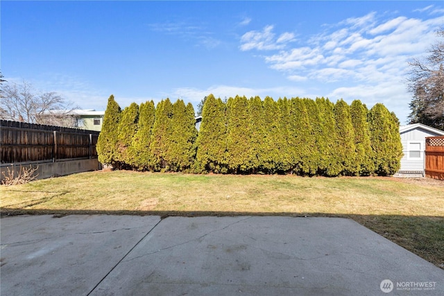 view of yard with a patio area and fence