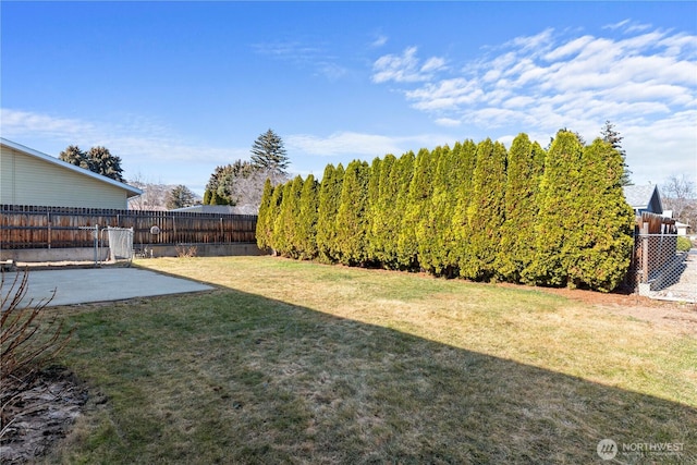 view of yard featuring a patio area and a fenced backyard