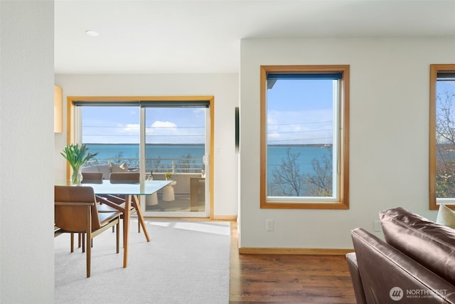 dining room with baseboards and wood finished floors