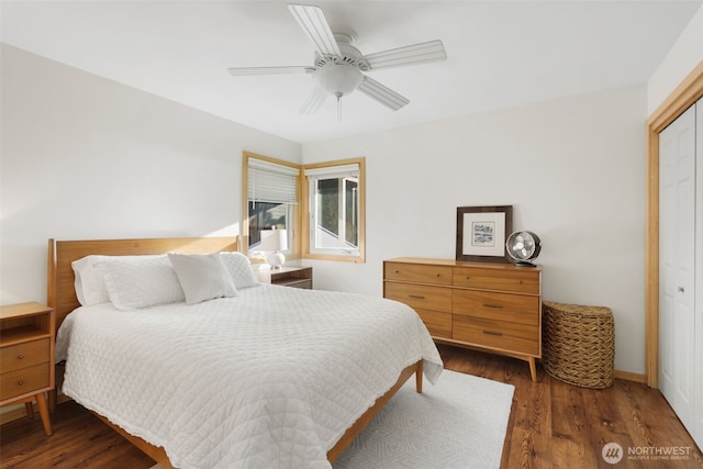 bedroom featuring ceiling fan, a closet, and dark wood finished floors