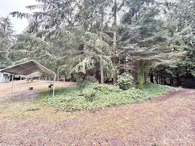 view of yard with a detached carport