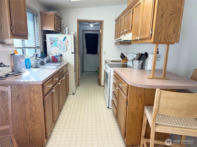 kitchen with white appliances, light countertops, under cabinet range hood, and light floors