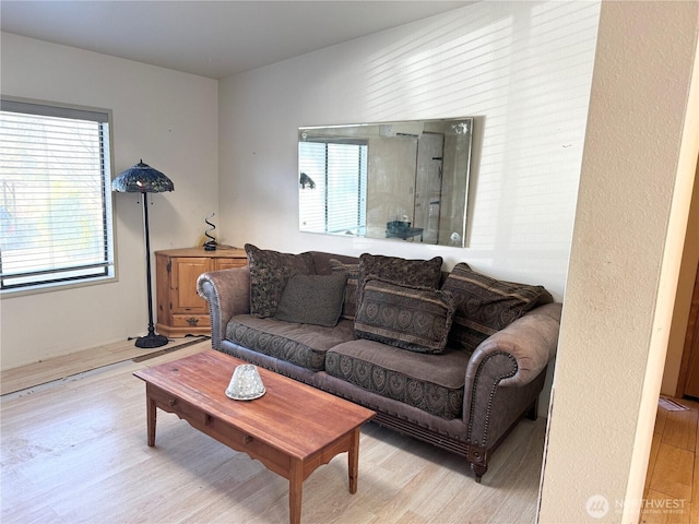 living area featuring wood finished floors