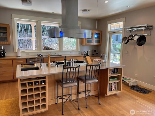 kitchen featuring light wood finished floors, island range hood, stainless steel gas cooktop, open shelves, and a sink