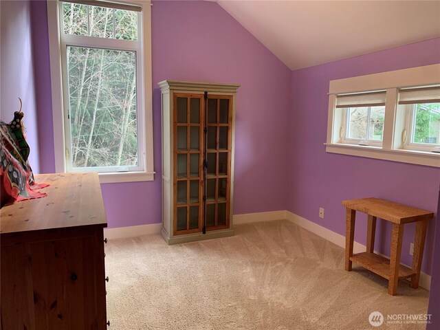 interior space featuring lofted ceiling and baseboards