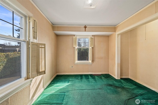 spare room featuring baseboards, carpet, and crown molding