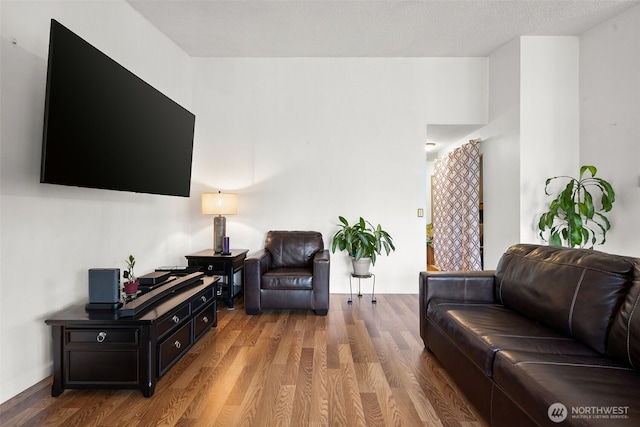 living room with wood finished floors