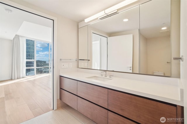 bathroom with toilet and vanity