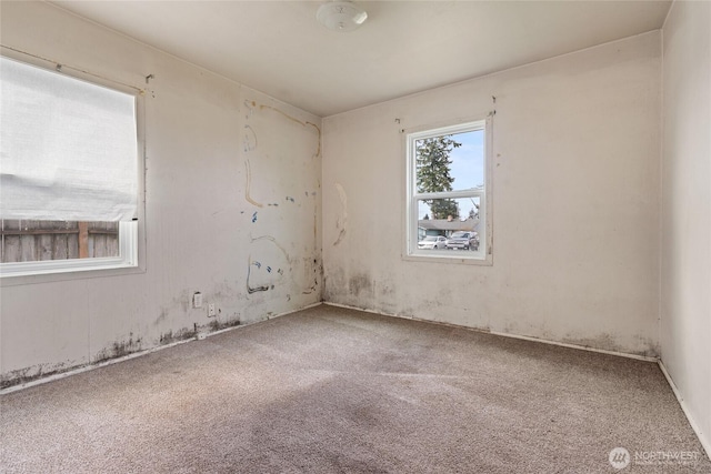 empty room featuring carpet floors