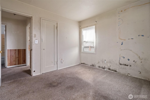 spare room with carpet floors