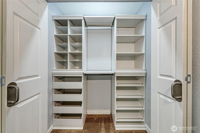 view of closet