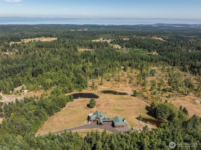 aerial view with a forest view