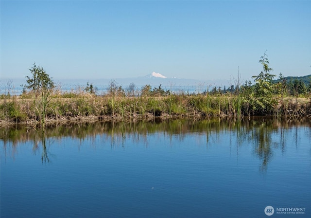 water view featuring a mountain view