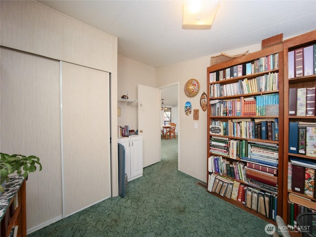 interior space with carpet