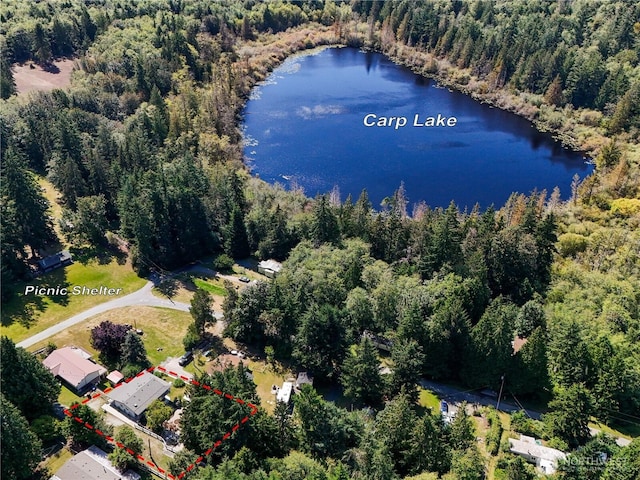 drone / aerial view featuring a water view and a view of trees