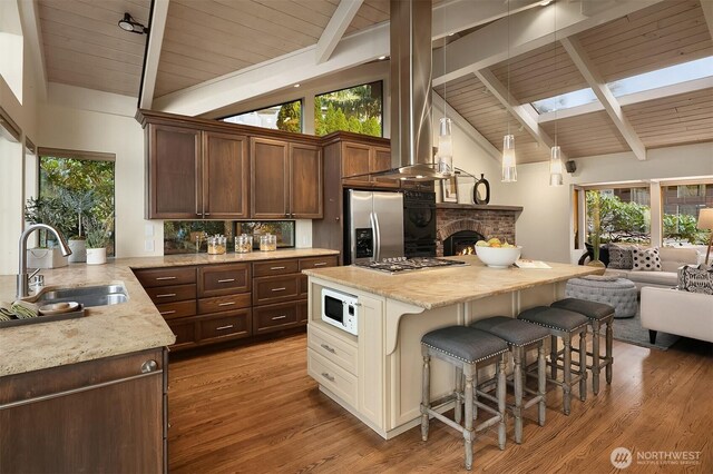 kitchen with light wood-style flooring, a kitchen breakfast bar, a skylight, stainless steel appliances, and a sink