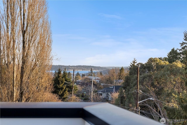 view of water feature featuring a view of trees