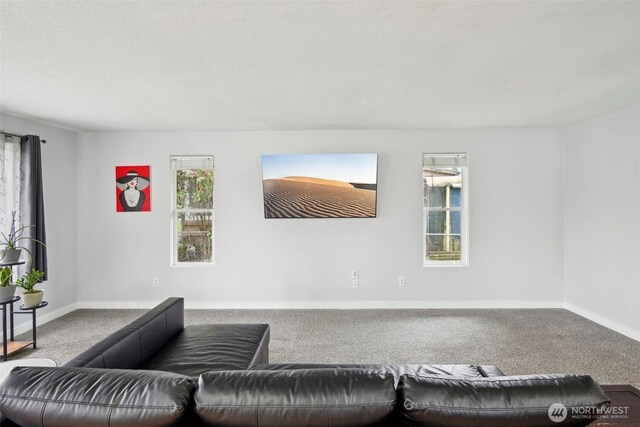 living area featuring baseboards and carpet