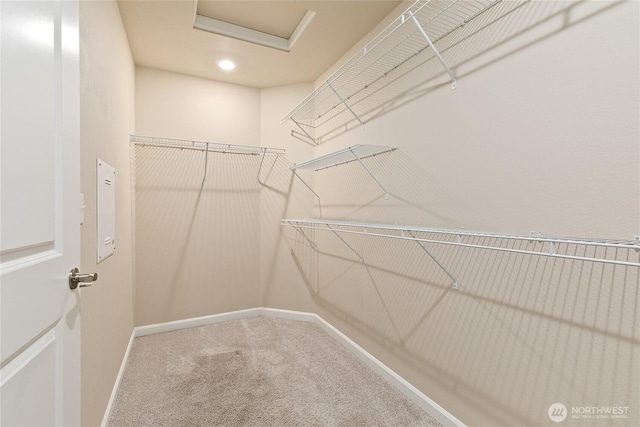 spacious closet with attic access and carpet