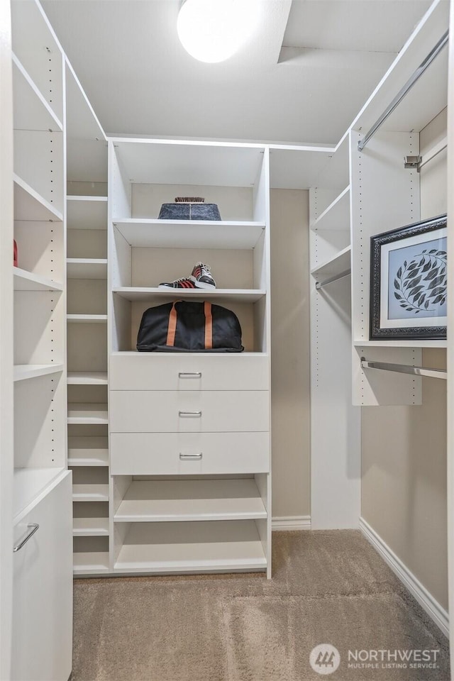 walk in closet featuring carpet flooring