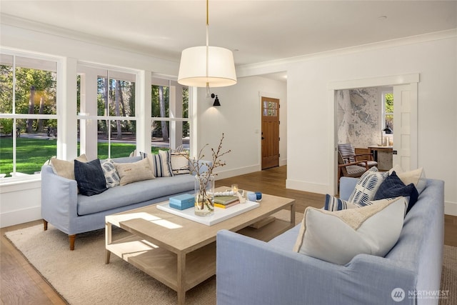 living area featuring baseboards, wood finished floors, and crown molding