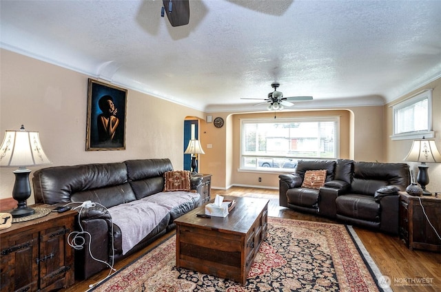 living room featuring a ceiling fan, crown molding, wood finished floors, and a wealth of natural light