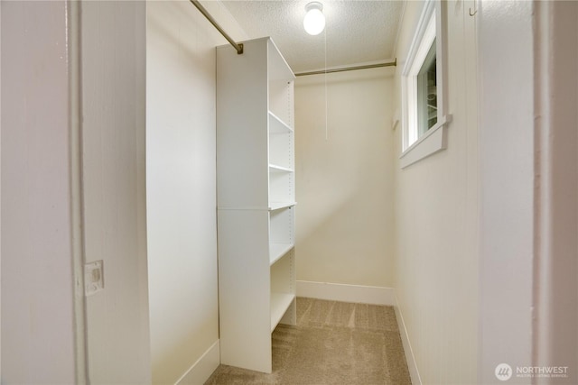 walk in closet featuring carpet and attic access