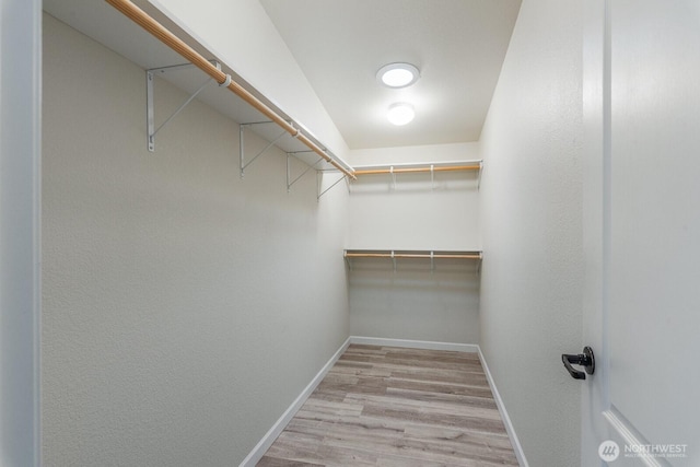 spacious closet featuring light wood finished floors