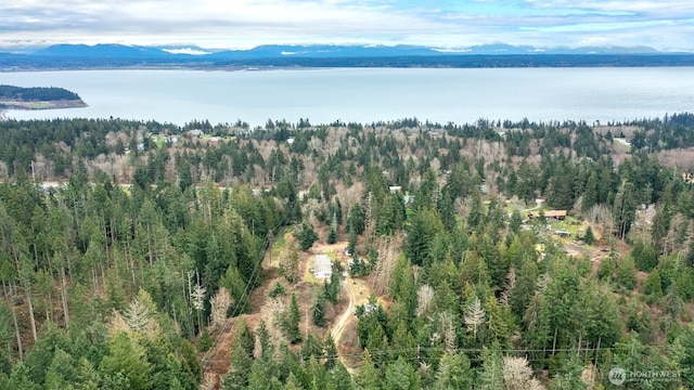 bird's eye view featuring a forest view and a water and mountain view