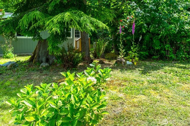 815 New Morning Rd, Camano Island, WA 98282 - photo 33