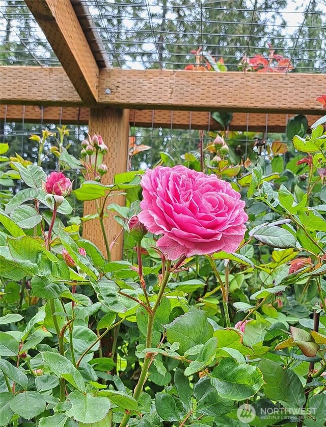 815 New Morning Rd, Camano Island, WA 98282 - photo 9